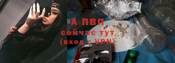 молекула духа Волоколамск