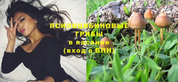 молекула духа Волоколамск